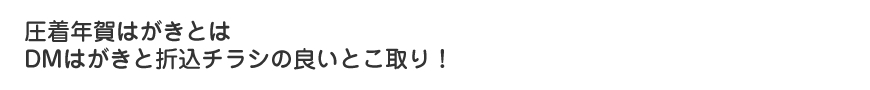 圧着年賀はがきとはDMはがきと折込チラシの良いとこ取り！